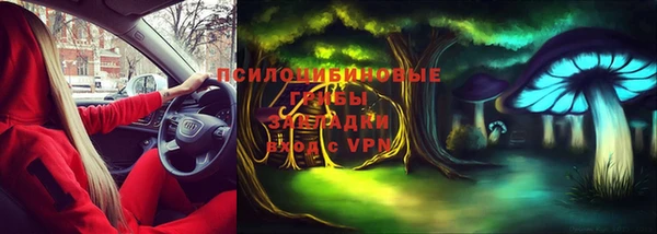 твердый Вязники