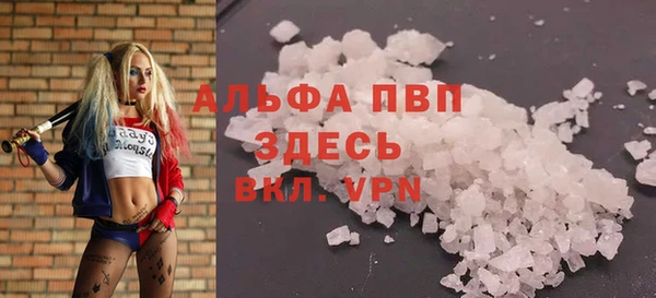 apvp Вяземский