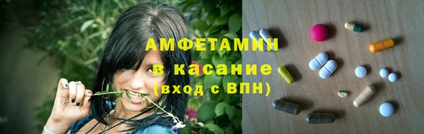 apvp Вяземский