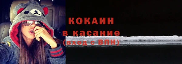 apvp Вяземский