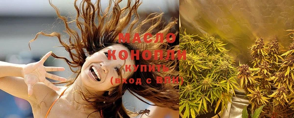 apvp Вяземский