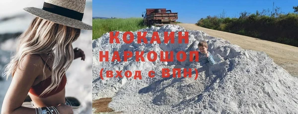 apvp Вяземский