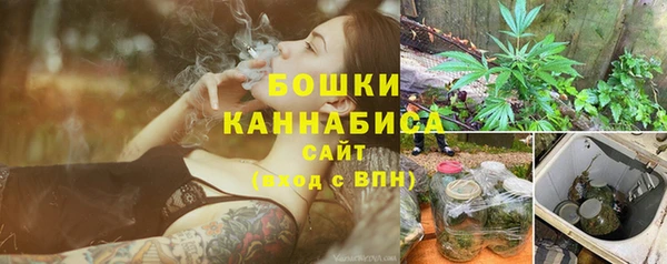 apvp Вяземский