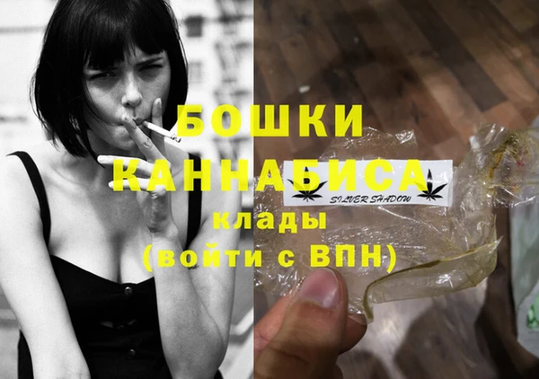 ALPHA PVP Горнозаводск